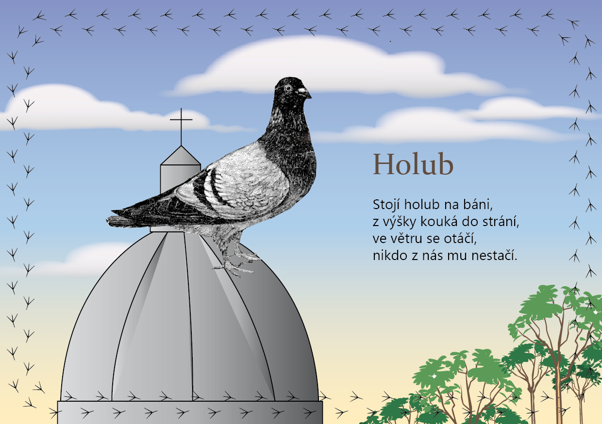 Říkanky-Stana-web_Holub