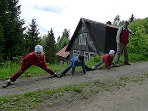 pampeliska.jpg